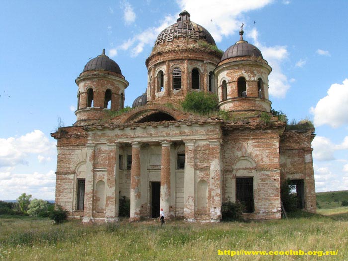 ���� 2009