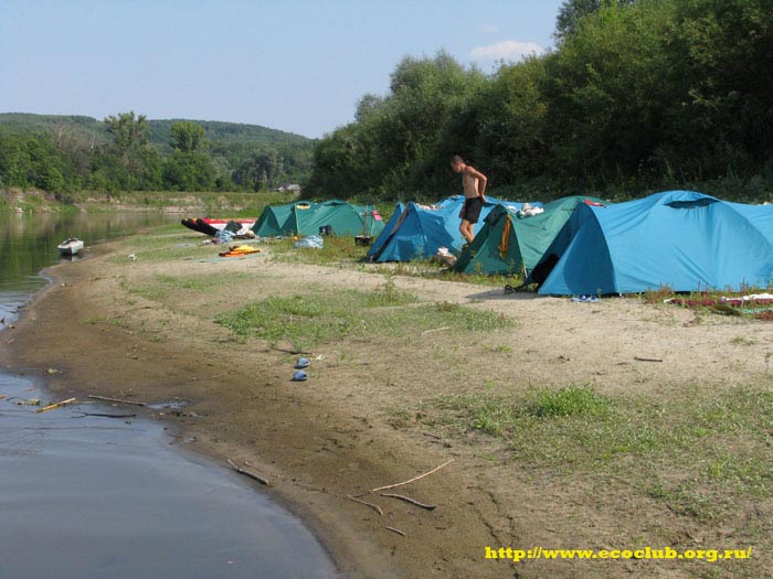 ���� 2009